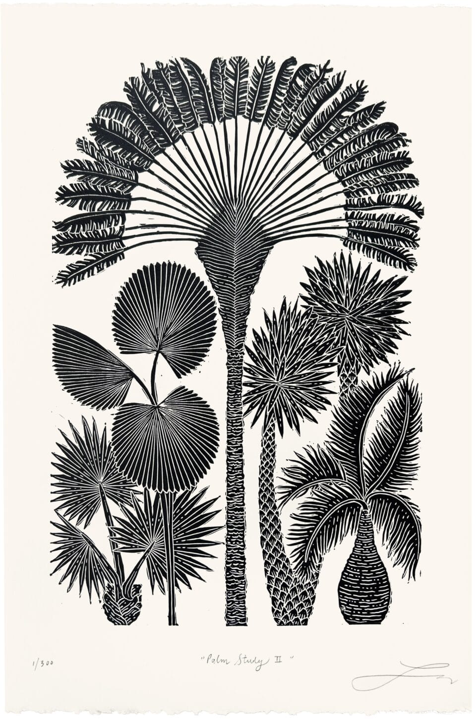a black-and-white block print of tropical foliage