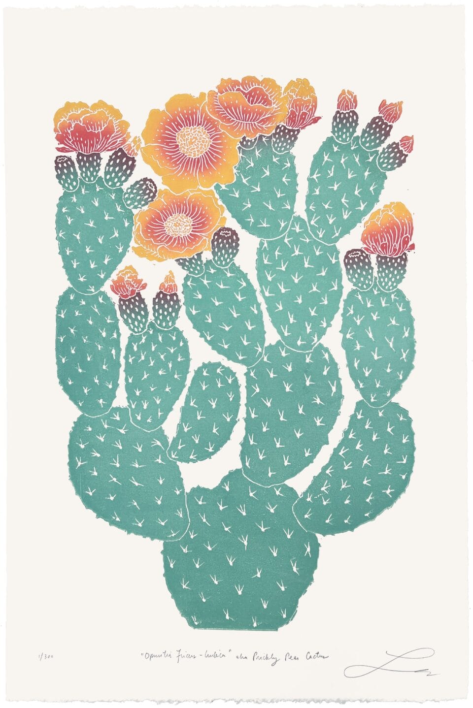 a block print of a prickly pear cactus