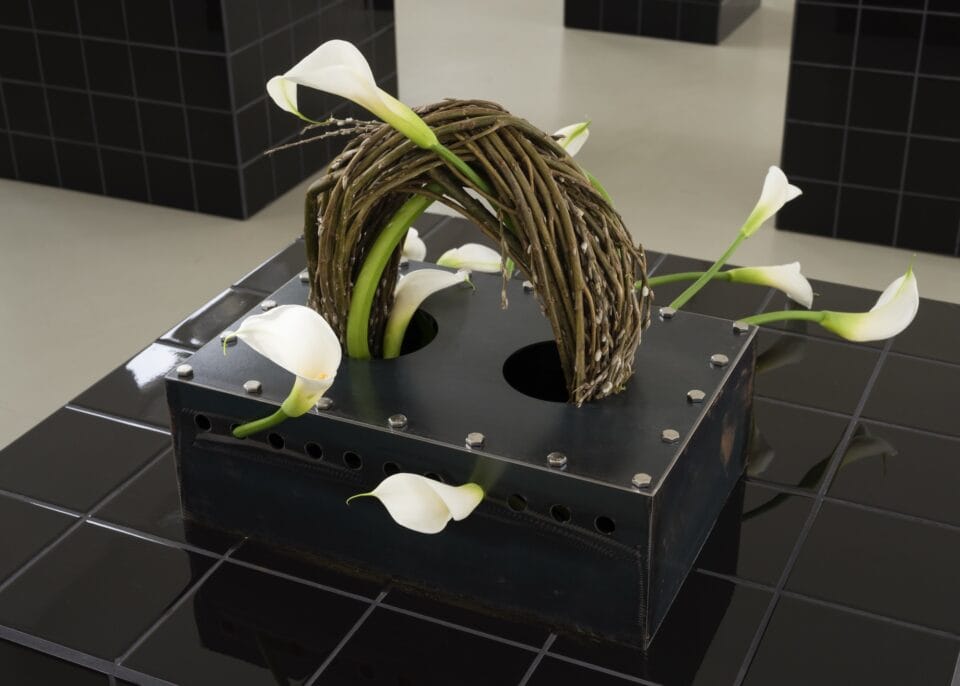 white lilies emerge from a square vase with wooden reeds forming an arch