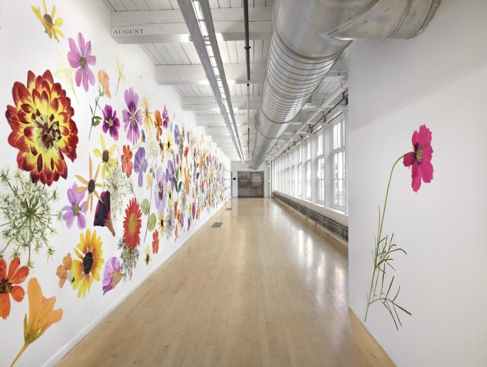 a large, full-wall installation of numerous flower painting cutouts that resemble giant pressed flowers all along white walls