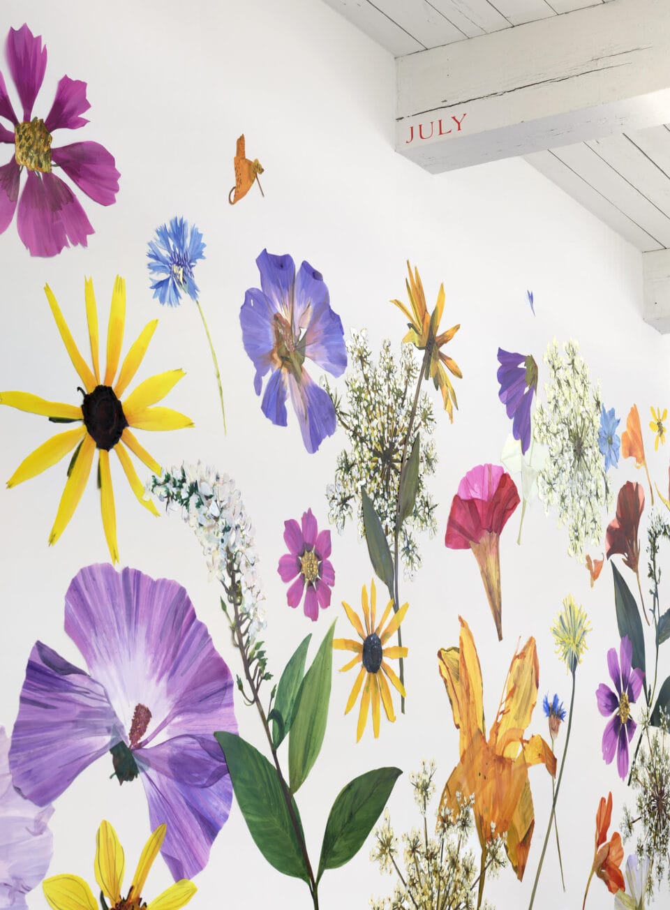 a detail of a large, full-wall installation of numerous flower painting cutouts that resemble giant pressed flowers all along a white wall