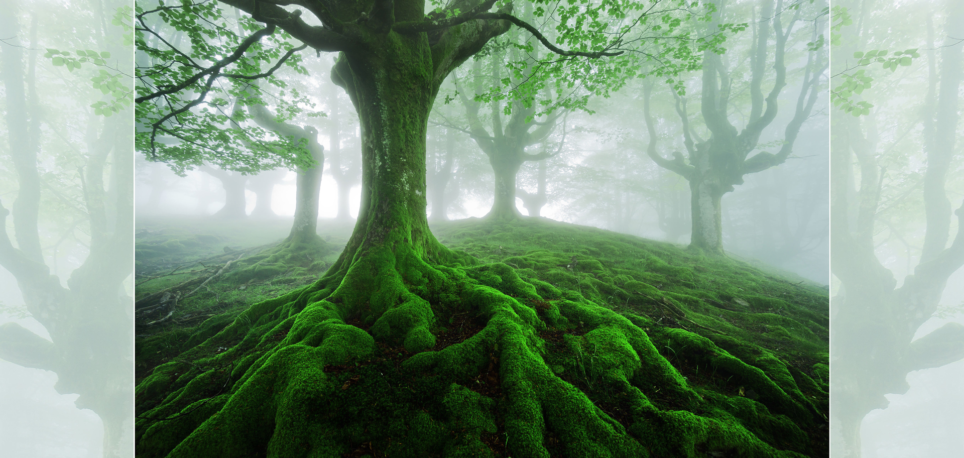 AdobeStock (Created by Candice Gaukel Andrews)