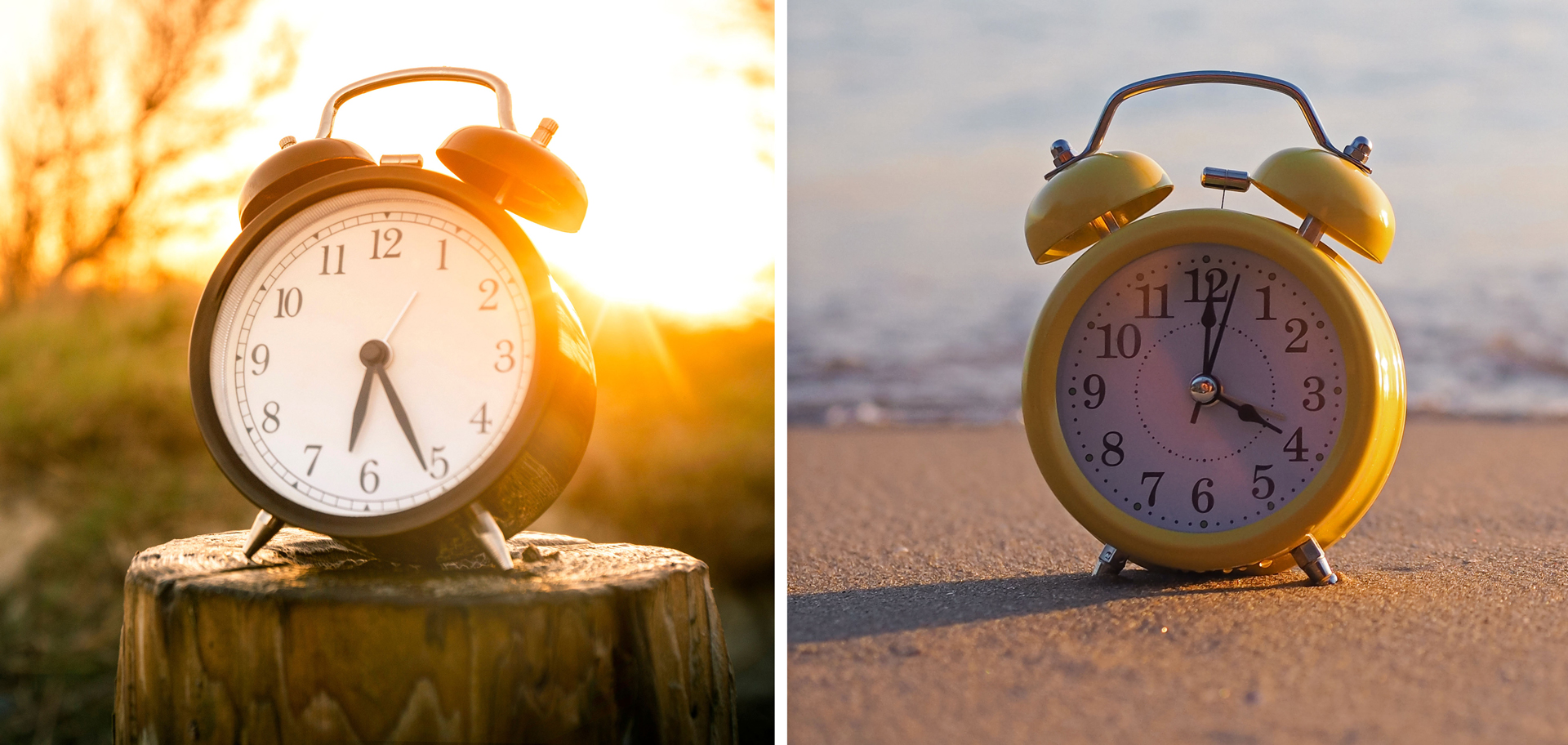 AdobeStock (Created by Candice Gaukel Andrews)