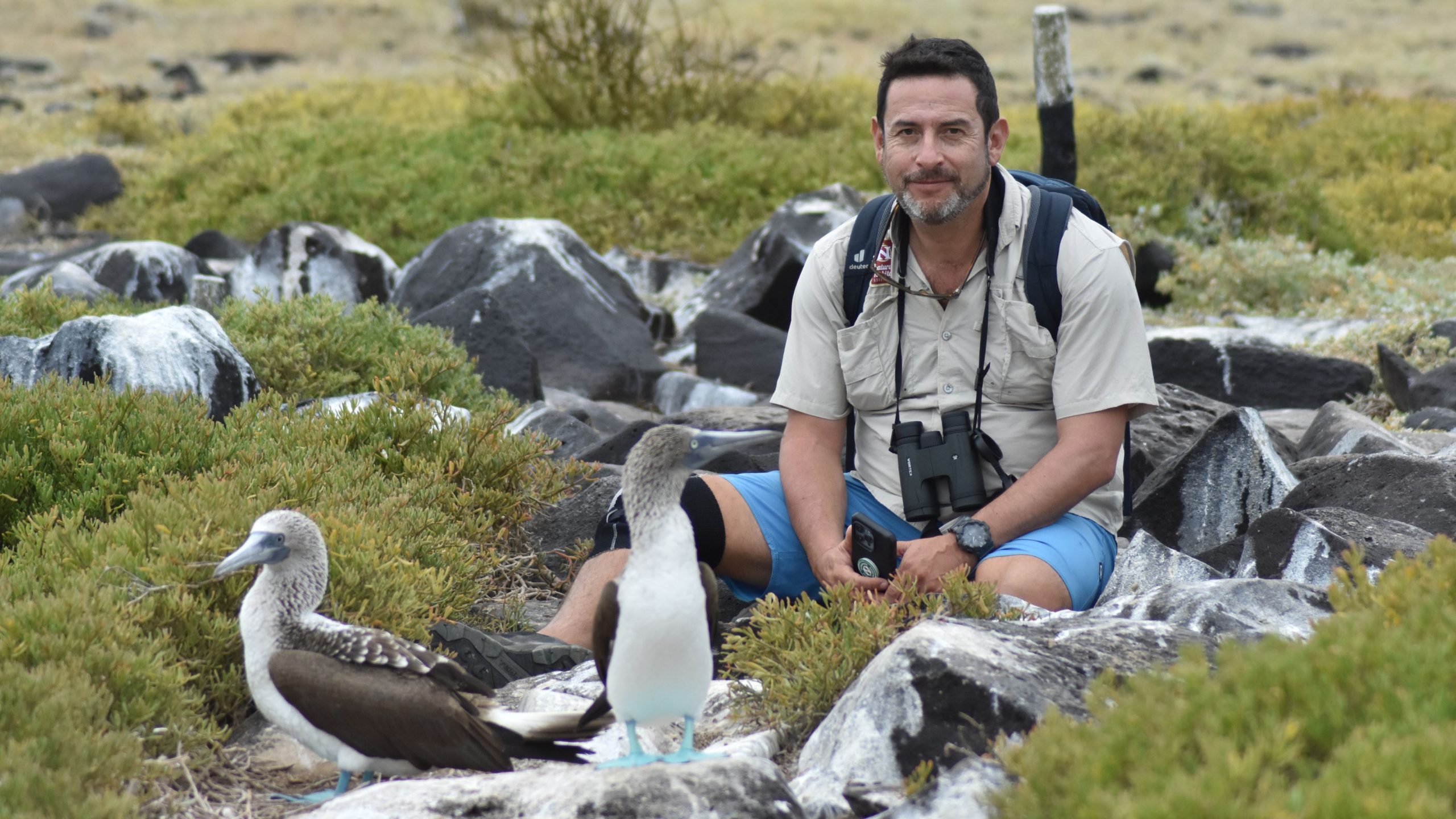 Guide posting with a blue-footed boobie