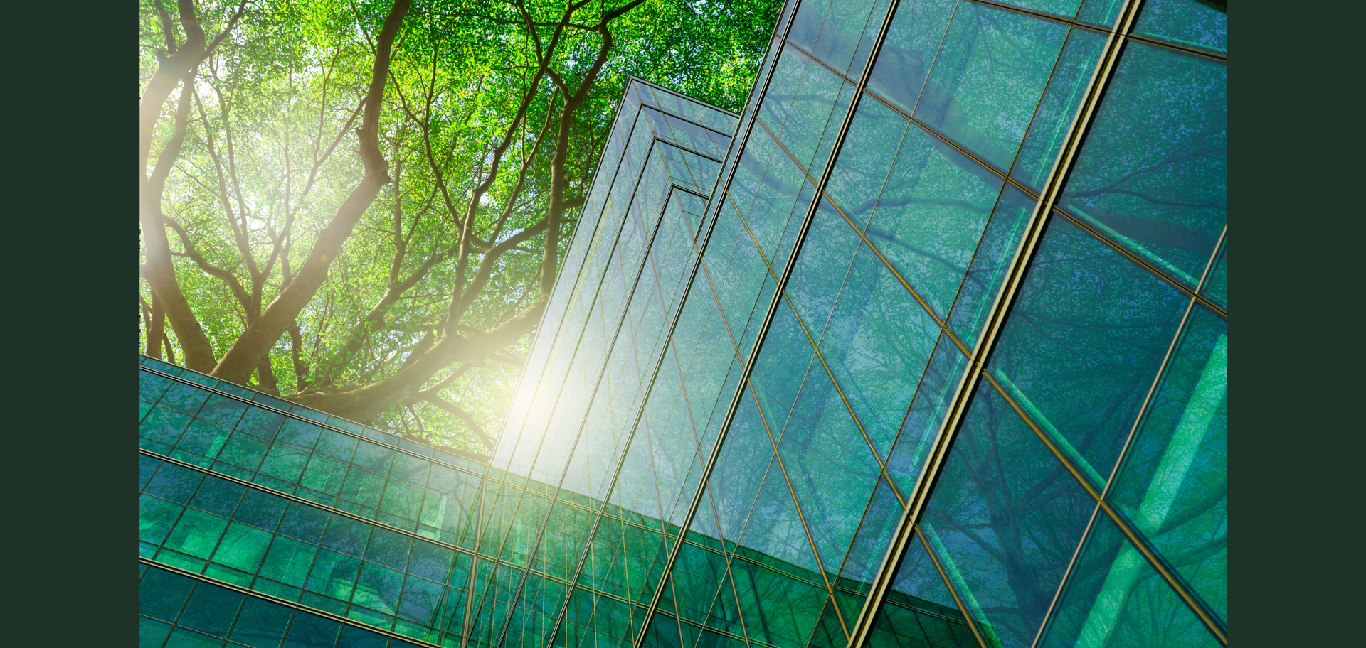 AdobeStock (Created by Candice Gaukel Andrews)