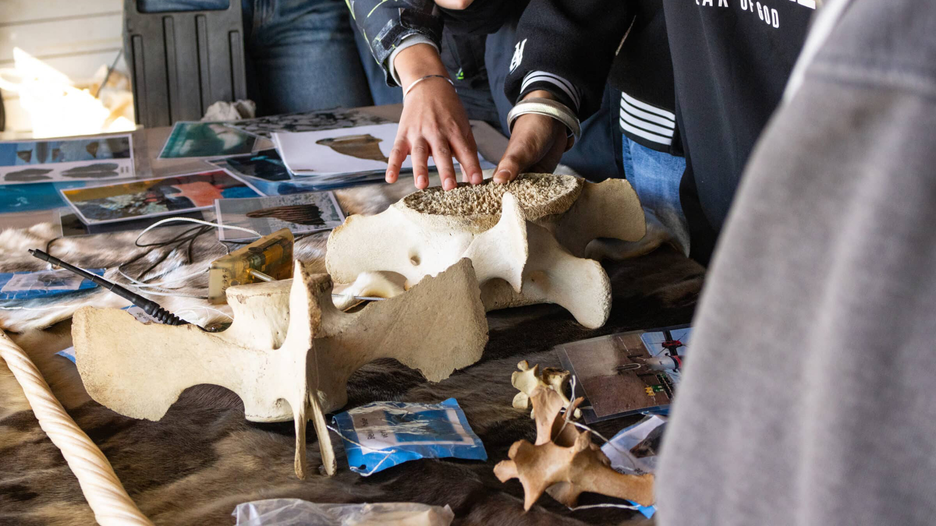 science school arctic whale bones